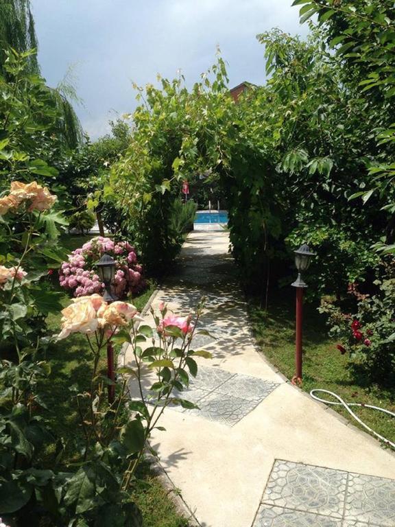 Villa Amsterdam Οχρίδα Εξωτερικό φωτογραφία