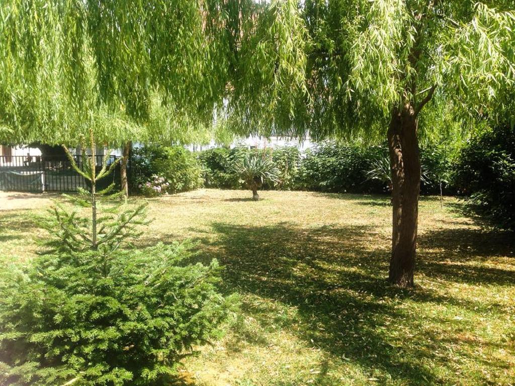 Villa Amsterdam Οχρίδα Εξωτερικό φωτογραφία