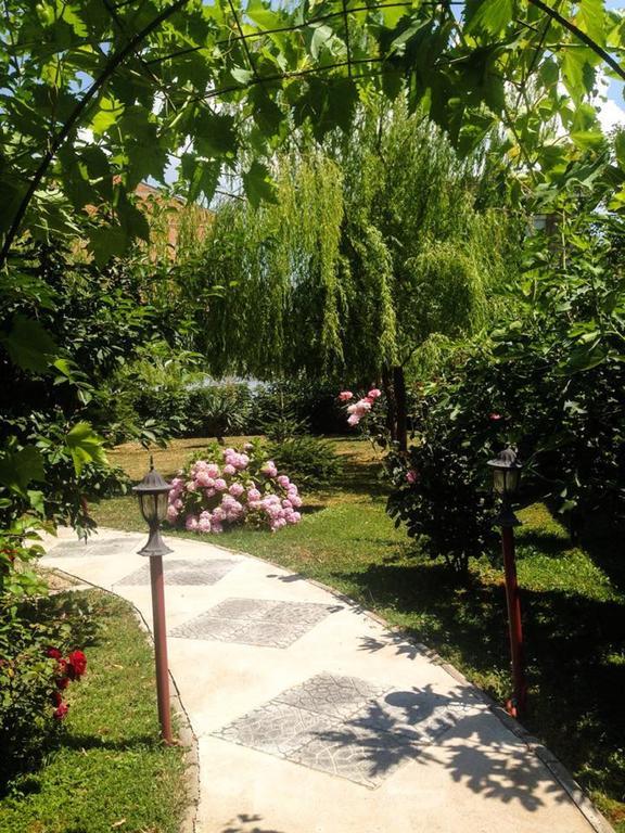Villa Amsterdam Οχρίδα Εξωτερικό φωτογραφία