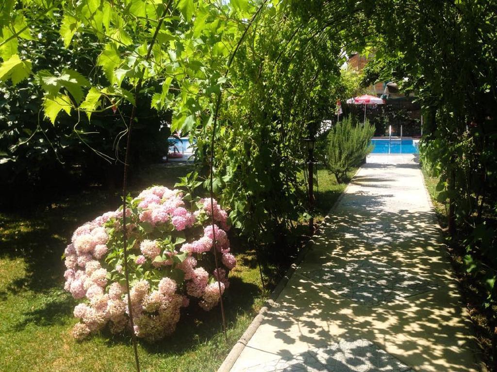 Villa Amsterdam Οχρίδα Εξωτερικό φωτογραφία